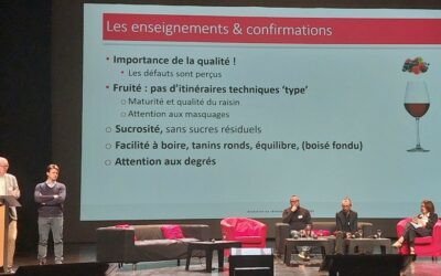 Comment les Vins de Bordeaux tentent de réagir à la crise